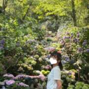 ヒメ日記 2025/07/01 21:11 投稿 くじら ドM女学園大阪