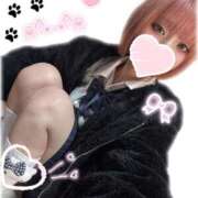 ヒメ日記 2026/02/18 09:41 投稿 くじら ドM女学園大阪