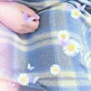 ヒメ日記 2026/01/27 17:25 投稿 あおい 宮崎ちゃんこ都城店