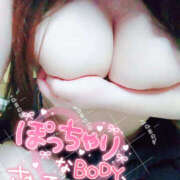 ヒメ日記 2025/02/20 11:59 投稿 ちいこ 大阪和泉ちゃんこ