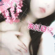 ヒメ日記 2025/03/01 08:59 投稿 ちいこ 大阪和泉ちゃんこ