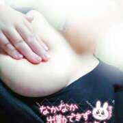 ヒメ日記 2025/03/19 11:49 投稿 ちいこ 大阪和泉ちゃんこ