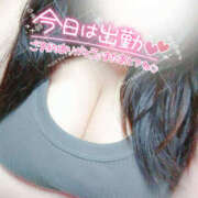 ヒメ日記 2025/03/30 11:32 投稿 ちいこ 大阪和泉ちゃんこ