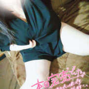 ヒメ日記 2025/04/12 19:49 投稿 ちいこ 大阪和泉ちゃんこ