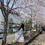 ヒメ日記 2025/07/06 16:06 投稿 えな★S級女子アナ志望現役JD 渋谷S級素人清楚系デリヘル chloe