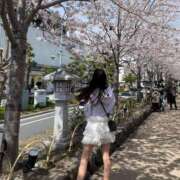 ヒメ日記 2025/10/20 17:01 投稿 えな★S級女子アナ志望現役JD S級素人清楚系デリヘル chloe