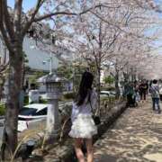 ヒメ日記 2026/03/23 07:14 投稿 えな★S級女子アナ志望現役JD S級素人清楚系デリヘル chloe