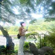 ヒメ日記 2025/07/10 14:06 投稿 えな★S級女子アナ志望現役JD Chloe五反田本店　S級素人清楚系デリヘル