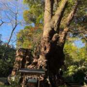 ヒメ日記 2025/07/24 16:00 投稿 えな★S級女子アナ志望現役JD Chloe五反田本店　S級素人清楚系デリヘル