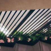 ヒメ日記 2025/02/18 16:19 投稿 なぎ 上野デリヘル倶楽部