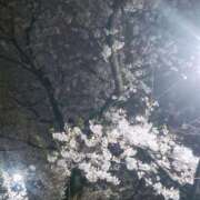 ヒメ日記 2025/04/02 13:24 投稿 なぎ 上野デリヘル倶楽部