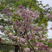 ヒメ日記 2025/06/18 13:14 投稿 ゆま FROZEN(フローズン)