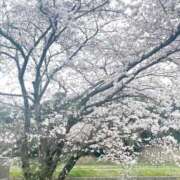 ヒメ日記 2026/03/05 16:13 投稿 ゆま FROZEN(フローズン)