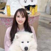 ヒメ日記 2025/04/08 20:29 投稿 まり 秘書室(吉原)