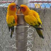 ヒメ日記 2026/03/06 13:09 投稿 安奈 出会い系人妻ネットワーク 五反田～品川編