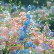 ヒメ日記 2025/03/20 21:18 投稿 あまね マリン千姫