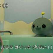 ヒメ日記 2025/10/25 09:52 投稿 ゆき 横浜Cute