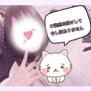 ヒメ日記 2025/02/26 18:58 投稿 ひめか ワンダフル