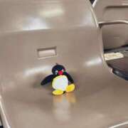 ヒメ日記 2025/05/09 09:00 投稿 ひめか ワンダフル