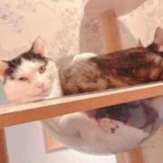 ヒメ日記 2025/05/25 19:38 投稿 ひめか ワンダフル