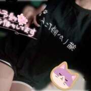 ヒメ日記 2025/11/23 11:33 投稿 ひめか ワンダフル