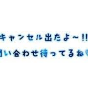 ヒメ日記 2025/03/20 09:46 投稿 コナツ ラブコレクション