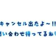 ヒメ日記 2025/04/16 07:46 投稿 コナツ ラブコレクション