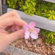 ヒメ日記 2025/03/25 13:43 投稿 椎木 さやか 未経験19歳Hカッ ファーストクラス ルビー