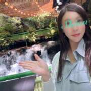 ヒメ日記 2025/05/15 09:14 投稿 しおん 秘書室(吉原)