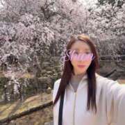 ヒメ日記 2026/04/03 21:17 投稿 しおん 秘書室(吉原)