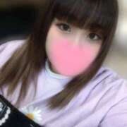 ヒメ日記 2024/12/29 20:07 投稿 いちご わんだふる