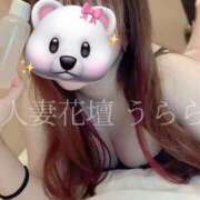 ヒメ日記 2025/02/17 19:34 投稿 うらら モアグループ宇都宮人妻花壇