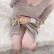 ヒメ日記 2025/05/17 10:48 投稿 うらら モアグループ宇都宮人妻花壇