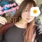 ヒメ日記 2025/10/23 12:05 投稿 うらら モアグループ宇都宮人妻花壇