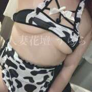 ヒメ日記 2026/01/06 21:32 投稿 うらら モアグループ宇都宮人妻花壇