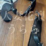 ヒメ日記 2026/01/11 14:28 投稿 うらら モアグループ宇都宮人妻花壇