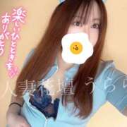 ヒメ日記 2026/03/29 23:00 投稿 うらら モアグループ宇都宮人妻花壇