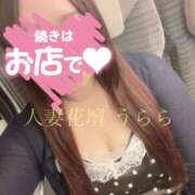 ヒメ日記 2026/06/15 15:07 投稿 うらら モアグループ宇都宮人妻花壇