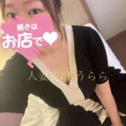 ヒメ日記 2026/09/24 20:47 投稿 うらら モアグループ宇都宮人妻花壇