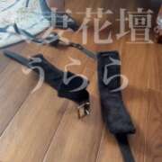 ヒメ日記 2026/09/27 17:51 投稿 うらら モアグループ宇都宮人妻花壇