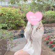 ヒメ日記 2025/02/21 12:19 投稿 桜花(おうか)☆ CLUB PIAA