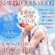 ヒメ日記 2025/03/01 00:25 投稿 桜花(おうか)☆ CLUB PIAA