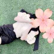 ヒメ日記 2025/03/01 19:56 投稿 桜花(おうか)☆ CLUB PIAA