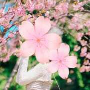 ヒメ日記 2025/03/02 08:54 投稿 桜花(おうか)☆ CLUB PIAA