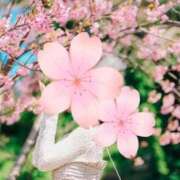 ヒメ日記 2025/03/02 09:06 投稿 桜花(おうか)☆ CLUB PIAA