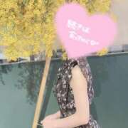 ヒメ日記 2025/03/03 22:49 投稿 桜花(おうか)☆ CLUB PIAA