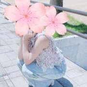 ヒメ日記 2025/03/05 09:19 投稿 桜花(おうか)☆ CLUB PIAA