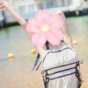 ヒメ日記 2025/03/14 12:04 投稿 桜花(おうか)☆ CLUB PIAA