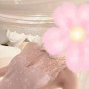 ヒメ日記 2025/03/25 00:46 投稿 桜花(おうか)☆ CLUB PIAA