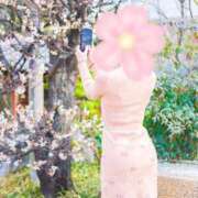 ヒメ日記 2025/03/27 09:06 投稿 桜花(おうか)☆ CLUB PIAA